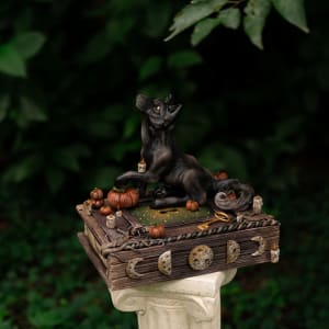 Shooting the Moon by Shelby Clark 