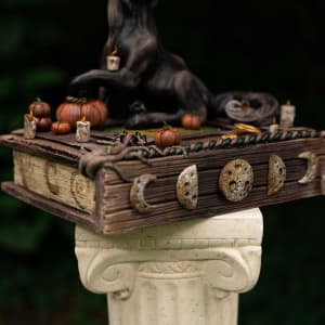 Shooting the Moon by Shelby Clark 