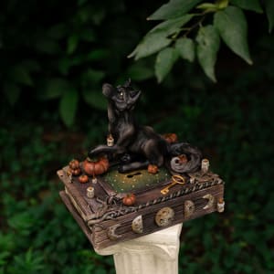 Shooting the Moon by Shelby Clark 