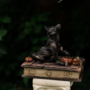 Shooting the Moon by Shelby Clark 