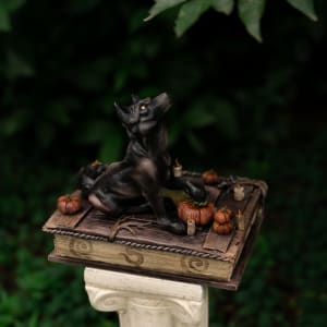 Shooting the Moon by Shelby Clark 