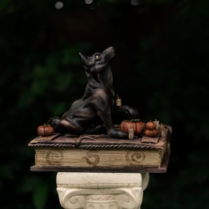 Shooting the Moon by Shelby Clark 