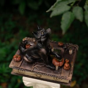 Shooting the Moon by Shelby Clark 