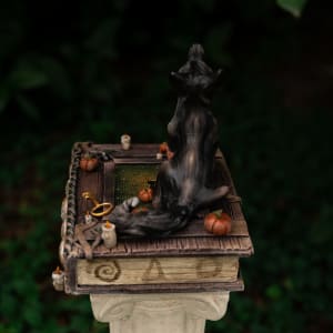 Shooting the Moon by Shelby Clark 