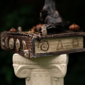 Shooting the Moon by Shelby Clark 