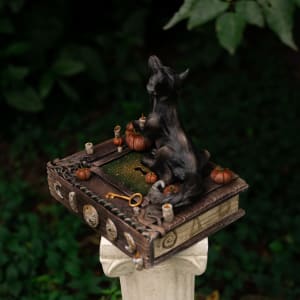 Shooting the Moon by Shelby Clark 