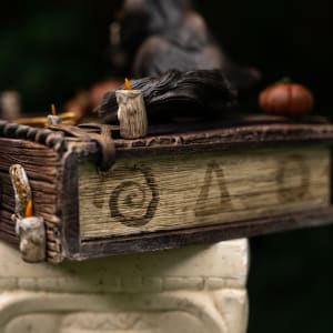 Shooting the Moon by Shelby Clark 