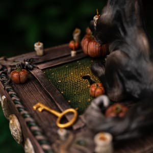 Shooting the Moon by Shelby Clark 