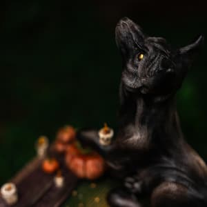 Shooting the Moon by Shelby Clark 