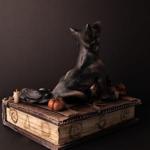 Shooting the Moon by Shelby Clark 