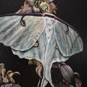 Lunar Transcendence by Brittany Johnson 