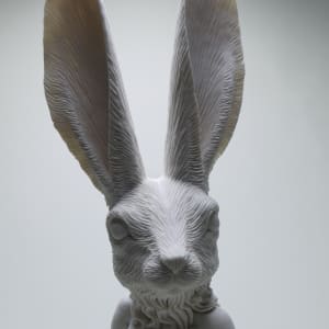 Infinitely Bound: Wild Hare Adaptation by Crystal Morey 