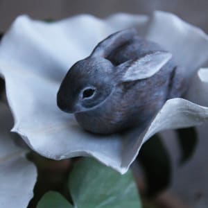 Hare in the Moonflower by Alexis Savopoulos 