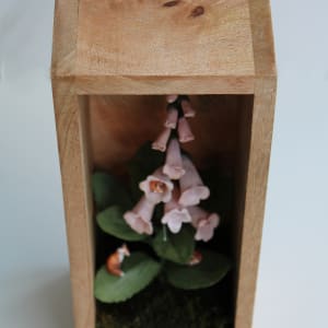 Home by Alexis Savopoulos 