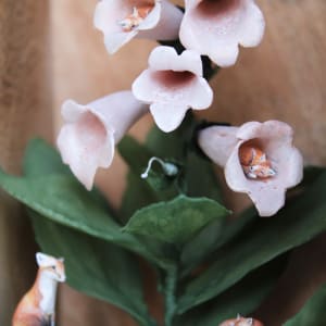 Home by Alexis Savopoulos 