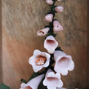 Home by Alexis Savopoulos 