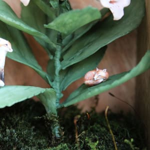 Home by Alexis Savopoulos 