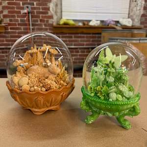 Butterfly in Argonaut by Amber Cowan 