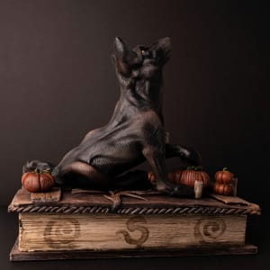 Shooting the Moon by Shelby Clark 