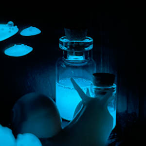 Thistle and Wren by Cheryl Lee 