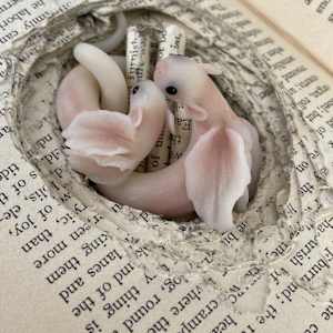 Willow and Whinnie by Cheryl Lee 