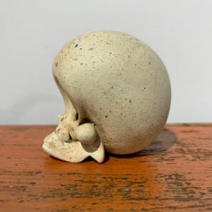Lucky Skull by Kathie Olivas 