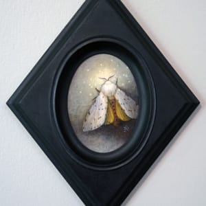 Rosy Maple Moth by Kaysha Siemens  Image: All four artworks are framed alike.