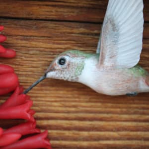 Nectar by Alexis Savopoulos 