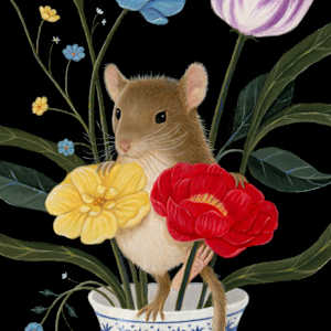 Nicolo by Gina Matarazzo 