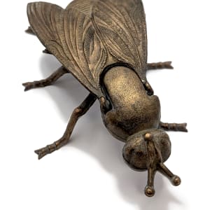 Fly Alaric by Shannon Taylor 