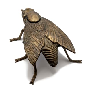 Fly Alaric by Shannon Taylor 