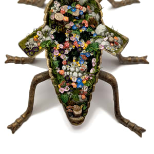 Fly Alaric by Shannon Taylor 