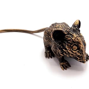 Field Mouse by Shannon Taylor, Ross Takahashi 