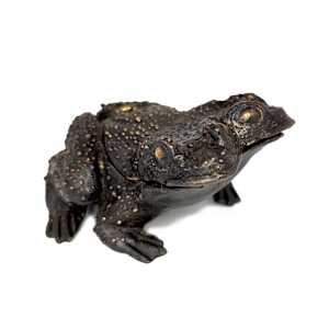 Swamp Toad by Shannon Taylor, Ross Takahashi 