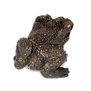 Swamp Toad by Shannon Taylor, Ross Takahashi 