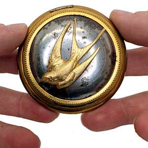 The Flying Tree by Shannon Taylor 