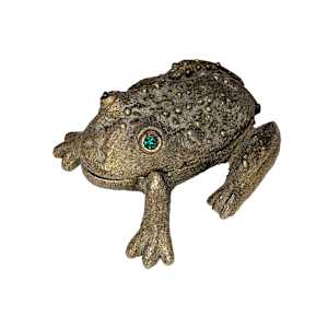 Full of Stars and Bugs by Shannon Taylor, Image 2.