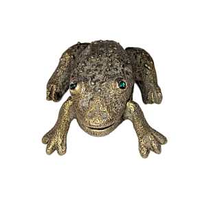 Full of Stars and Bugs by Shannon Taylor, Image 6.