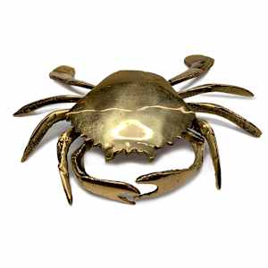 Sea Pearl by Shannon Taylor, Image 4.