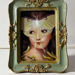 Luna Moth by Bill Mayer 