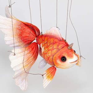 Unicorn Goldfish (Sarasa) by Mikazuki Futatsu 