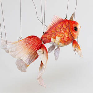 Unicorn Goldfish (Sarasa) by Mikazuki Futatsu 