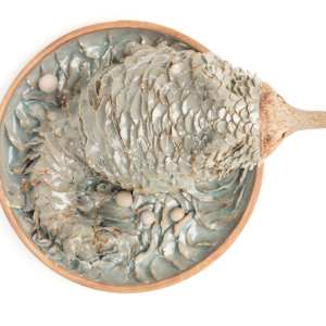Lucid Interval by Leslie Levings 