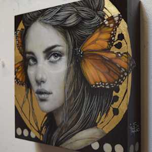 Butterfly 1 by Sophie Wilkins 