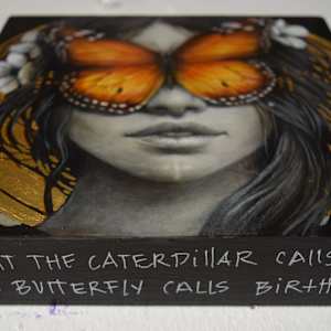 Butterfly 3 by Sophie Wilkins 