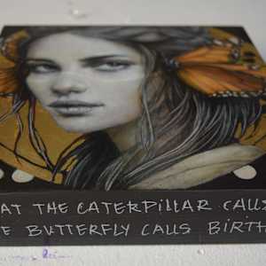 Butterfly 1 by Sophie Wilkins 