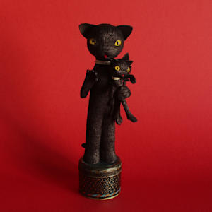 Hokus Pokus Fidibus, Dreimal Schwarzer Kater! by Alexandra Lukaschewitz 