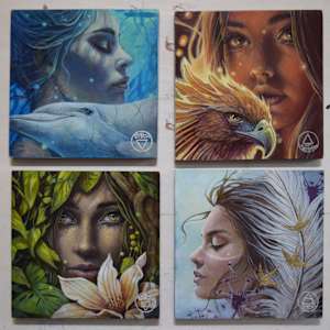 Feu by Sophie Wilkins 