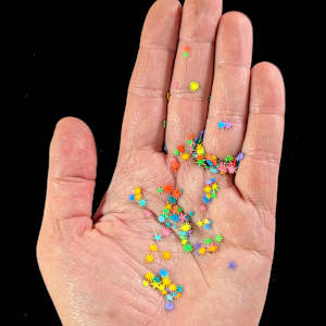 Ghosts of Fortune by Shannon Taylor, Image 2.