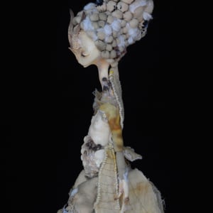 Mantodea mycorrhiza by Karly Perez 
